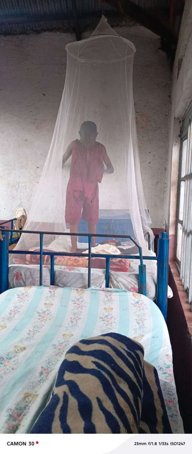 Gloria standing beneath a hanging mosquito net over a bed
